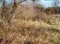 A plot of land