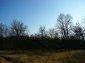 The land