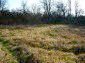 The property