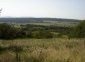 The land