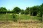 The land