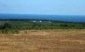 The land