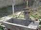The sink