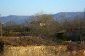 The land