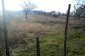 The land