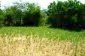 Lands for sale near Lovech