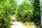 A road