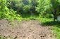 Tha garden