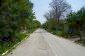 The road