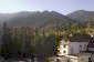 The view
