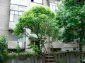 1-bedroom apartments for sale near Silistra