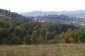 The land