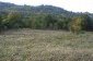 The plot of land