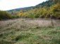 The land 