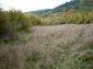 A plot of land