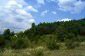 The land
