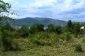 The land