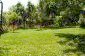 The garden