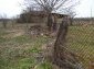 The land near the house