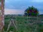 Near the house