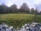 Near the house