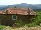 The house
