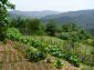 Tha garden