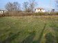 The yard near the house