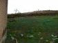 The land near the house