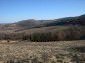 The land
