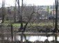 Near the house