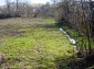 The plot of land