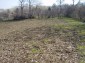 Lands for sale near Pleven