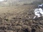 The plot of land
