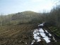 The land