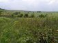 The view from the house