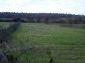 The land