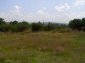 The land near the house