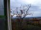 The view from the house