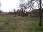 The garden 2