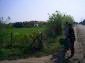 The way to the land