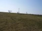 The yard