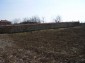The yard