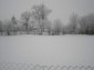 The land