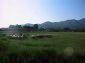 Lands for sale near Plovdiv
