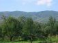 The view around the land