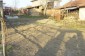 The garden