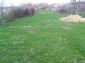 The garden