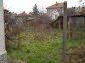 the yard of the house