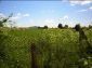 The land